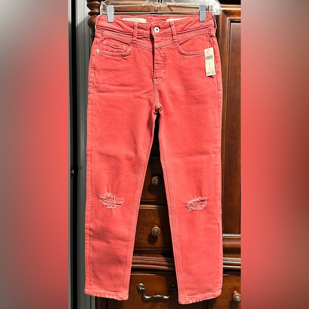 NWT Anthropology Pilcro and the Letterpress distressed jeans